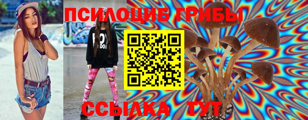 Галлюциногенные грибы Cubensis Озёрск